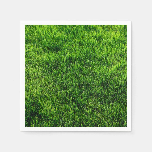 Classic Stilar Struktur Pappersservett (Framsidan)