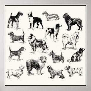 Classic Victorian Hund älskare Vintage Reds Poster