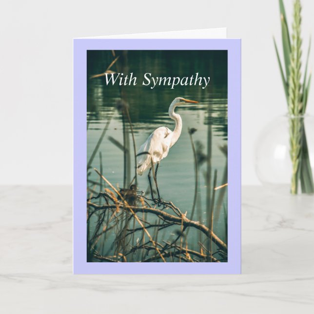 Classic White Egret Shore Bird Wildlife Nature Kort (Framsida)