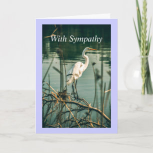 Classic White Egret Shore Bird Wildlife Nature Kort