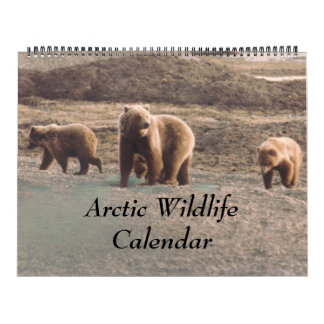 Classy Arktis Wildlife Alaska Photo Designad Kalender