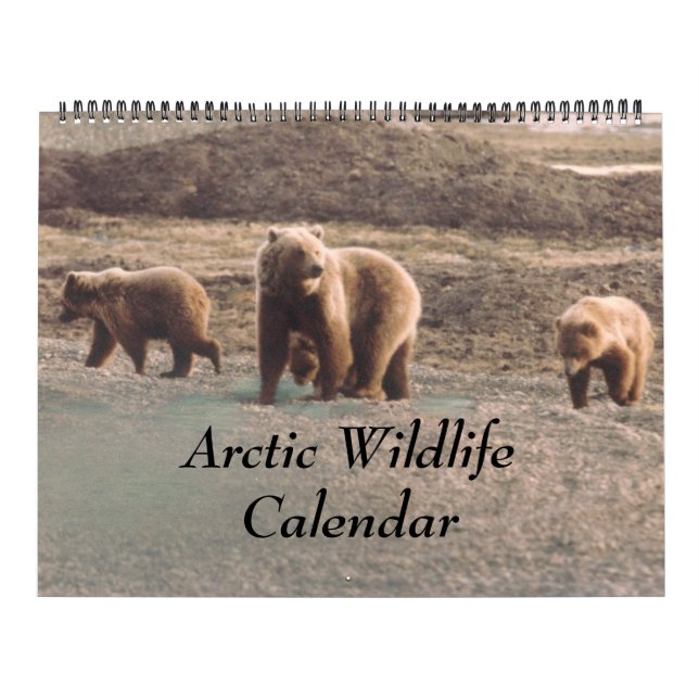 Classy Arktis Wildlife Alaska Photo Designad Kalender (Omslag)