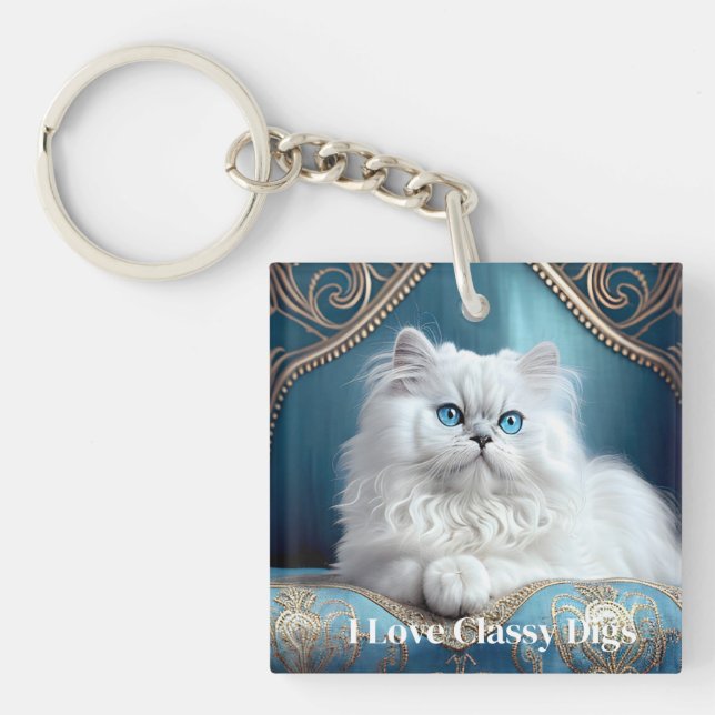 Classy Cat (Framsidan)