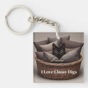 Classy Cat