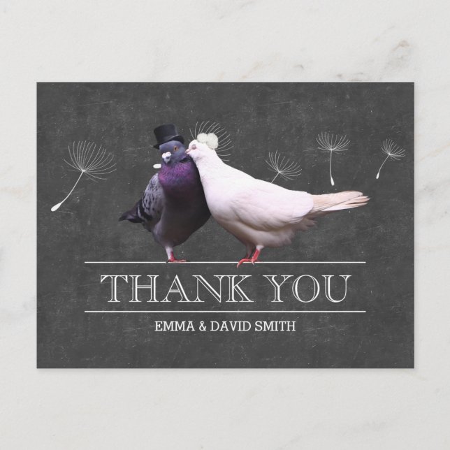 Classy Chalkboard Mr. och Birds Tack Vykort (Framsida)