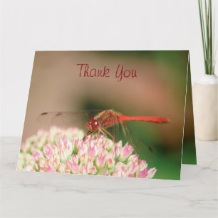 Classy Dragonfly Tack Kort