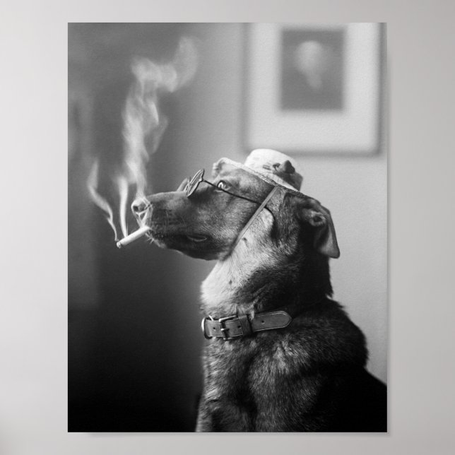 Classy Hund Smoking a Cigarette Poster (Framsidan)