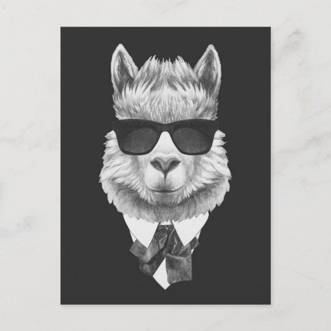 Classy Llama Vykort (Framsida)