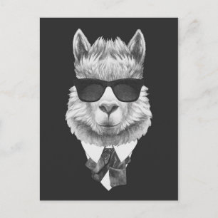 Classy Llama Vykort