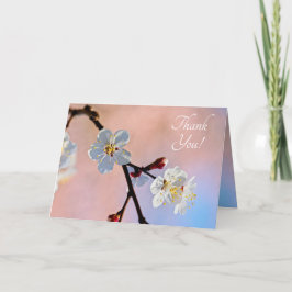 Classy White Japansk Apricot Flowers Tack Kort