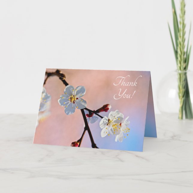 Classy White Japansk Apricot Flowers Tack Kort (Framsida)