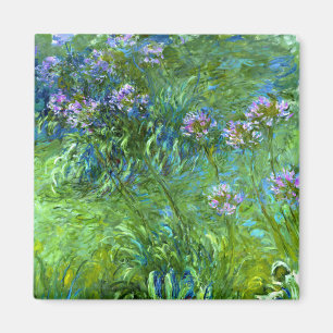 Claude Monet:Agapanthus Magnet