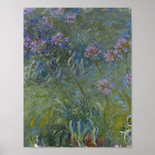 Claude Monet - Agapanthus Poster (Framsidan)
