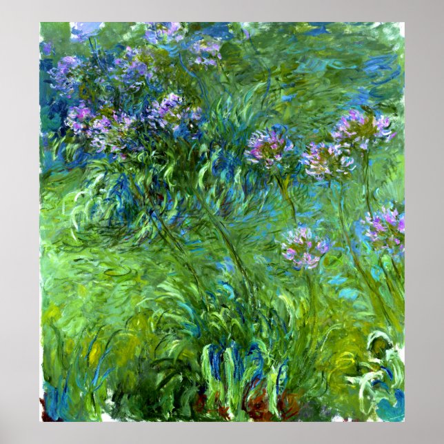 Claude Monet: Agapanthus Poster (Framsidan)
