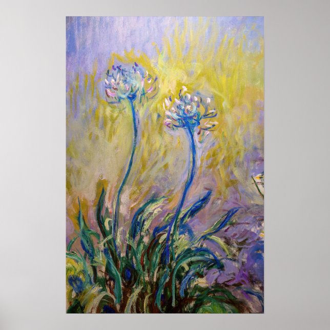 Claude Monet - Agapanthus Poster (Framsidan)