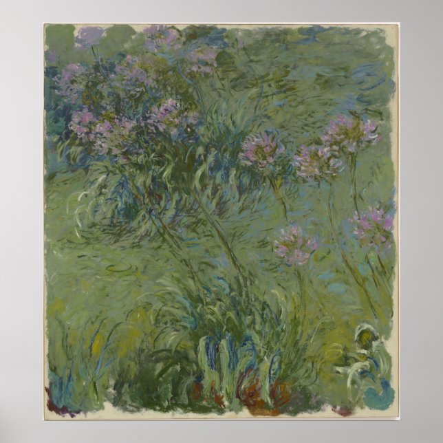 Claude Monet - Agapanthus Poster (Framsidan)