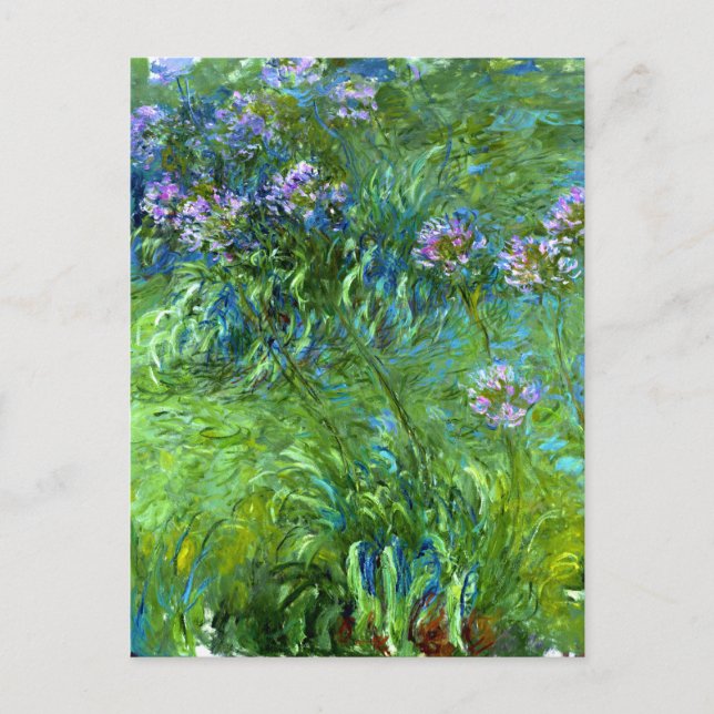 Claude Monet: Agapanthus Vykort (Framsida)
