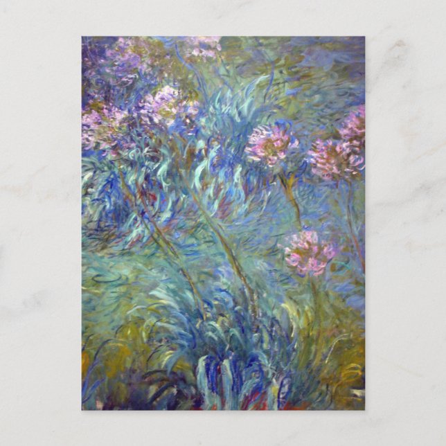 Claude Monet Agapanthus Vykort (Framsida)
