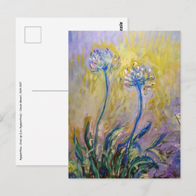 Claude Monet - Agapanthus Vykort (Fram/baksida)