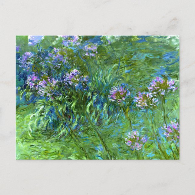 Claude Monet: Agapanthus Vykort (Framsida)