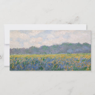 Claude Monet - Fält med gula irisar vid Giverny Tack Kort