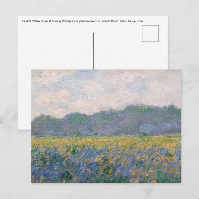 Claude Monet - Fält med gula irisar vid Giverny Vykort (Fram/baksida)