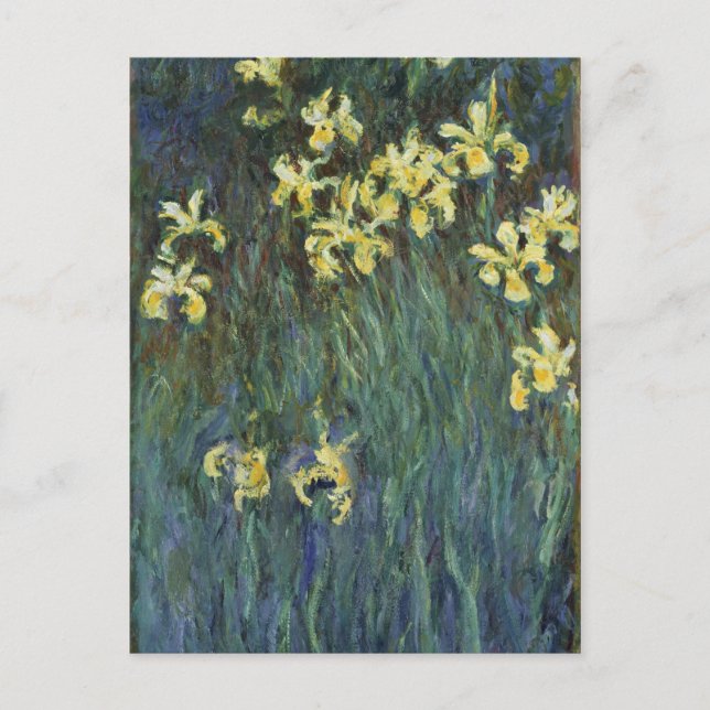 Claude Monet - Gult Irises Vykort (Framsida)