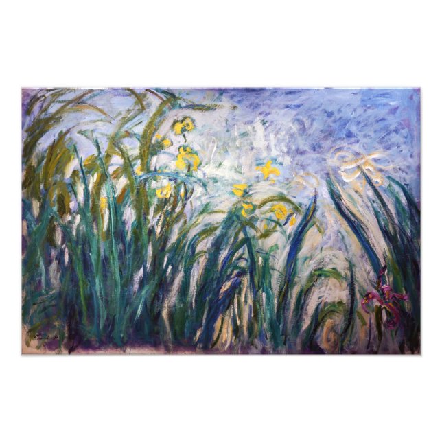 Claude Monet - Gult och Lila Irises Fototryck (Framsidan)