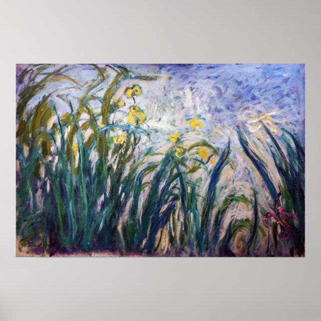 Claude Monet - Gult och Lila Irises Poster (Framsidan)