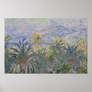 Claude Monet - Handflatan Träd vid Bordighera Poster