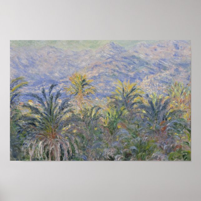 Claude Monet - Handflatan Träd vid Bordighera Poster (Framsidan)