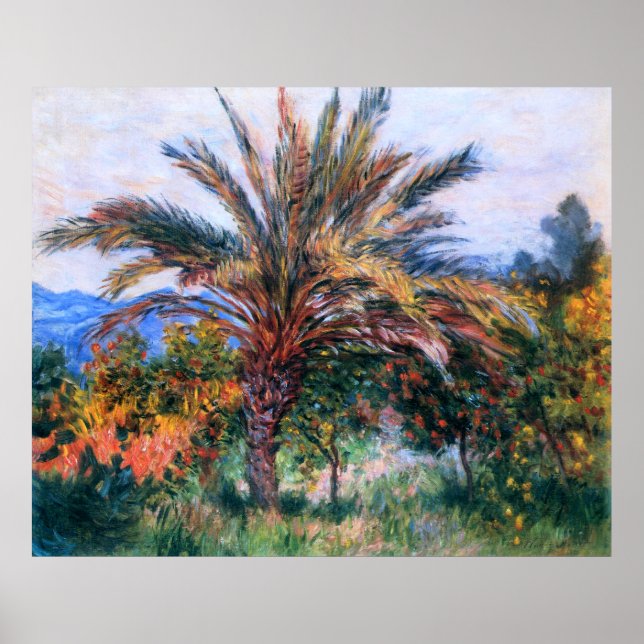 Claude Monet: Handflatan Träd vid Bordighera Poster (Framsidan)
