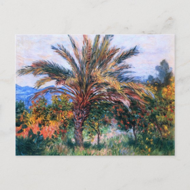 Claude Monet: Handflatan Träd vid Bordighera Vykort (Framsida)