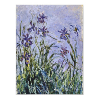 Claude Monet - Iris Mauves Fototryck