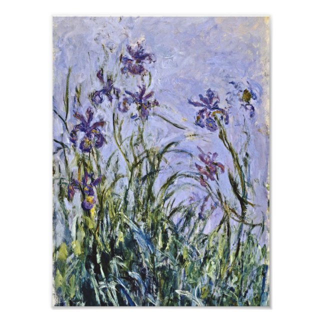 Claude Monet - Iris Mauves Fototryck (Framsidan)