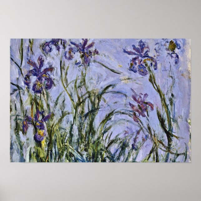 Claude Monet - Iris Mauves Poster (Framsidan)