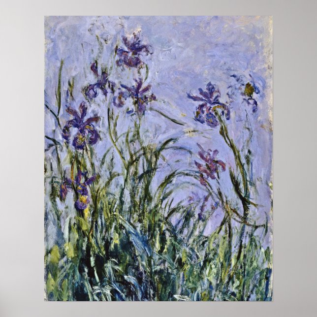 Claude Monet - Iris Mauves Poster (Framsidan)