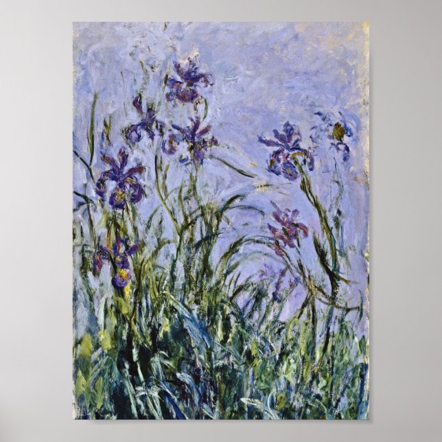 Claude Monet - Iris Mauves Poster (Framsidan)