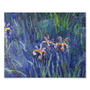 Claude Monet - Irises Fototryck
