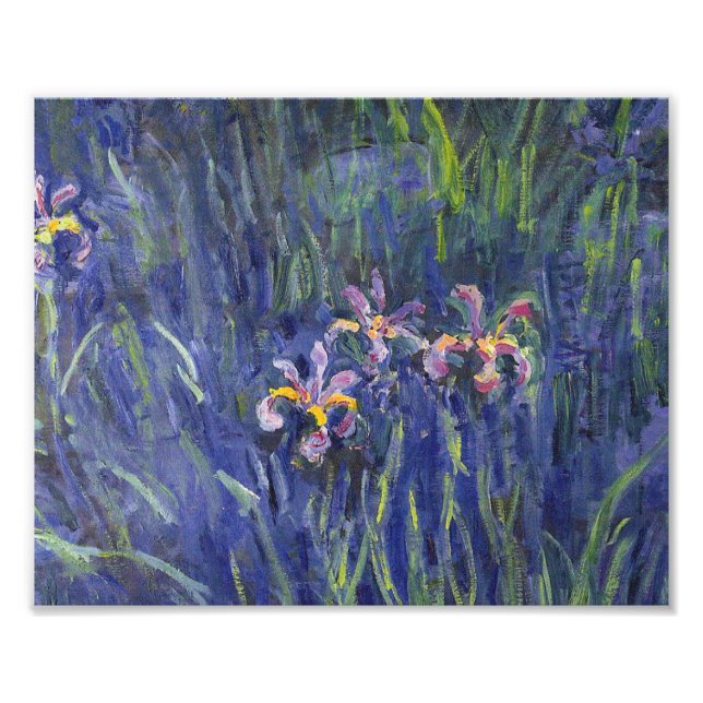Claude Monet - Irises Fototryck (Framsidan)