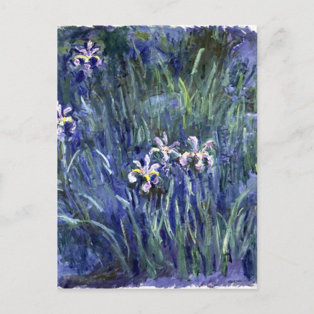 Claude Monet: Irises Vykort (Framsida)