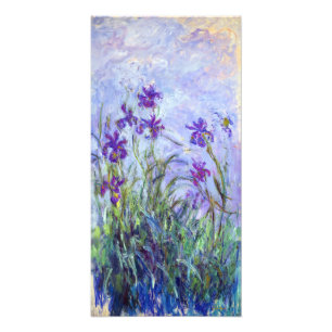 Claude Monet - Lila Iris / Iris Mauves Fototryck