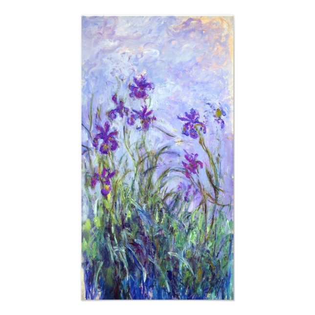 Claude Monet - Lila Iris / Iris Mauves Fototryck (Framsidan)