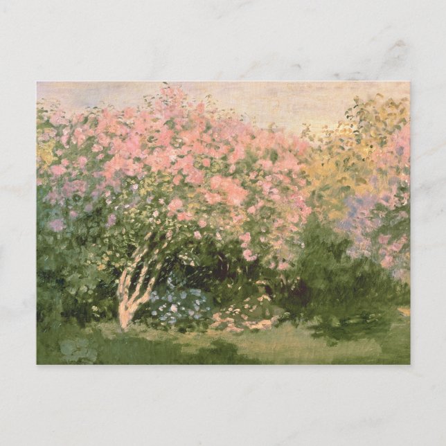 Claude Monet | Lilac i Sol, 1873 Vykort (Framsida)
