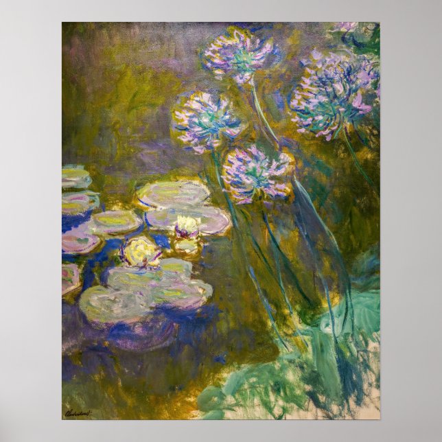 Claude Monet - Näckrosor och Agapanthus Poster (Framsidan)