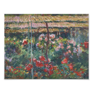 Claude Monet - Peony Garden Fototryck