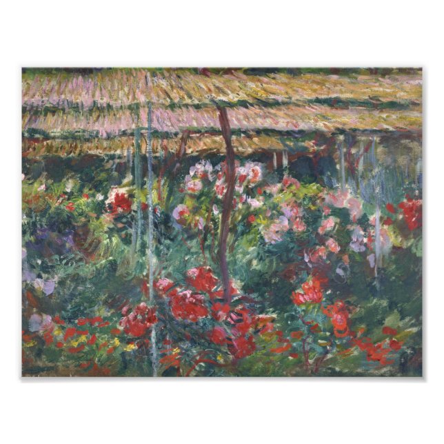 Claude Monet - Peony Garden Fototryck (Framsidan)