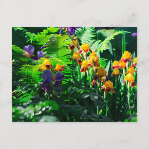 Claude Monet stiliserad trädgård Iris Vykort