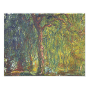 Claude Monet - tårpil Fototryck
