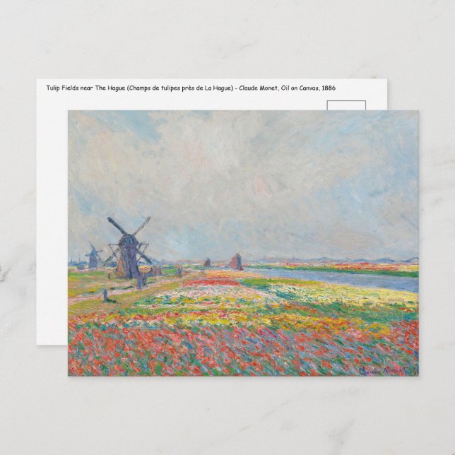 Claude Monet - Tulip Fält nära Haag Vykort (Fram/baksida)